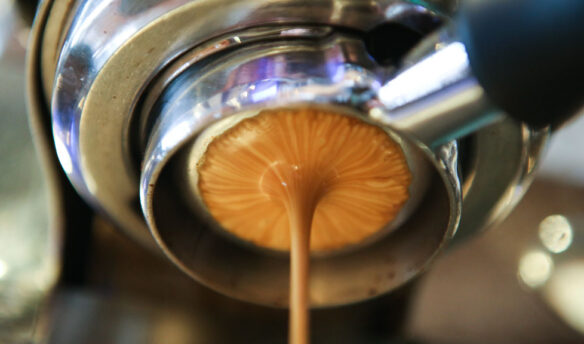 extraction
