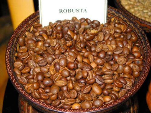RoastedRobusta_BennyLin